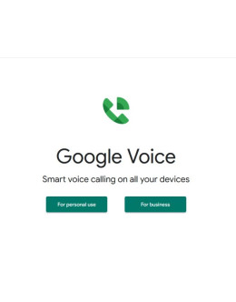 20 Google Voice accounts