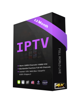 12 months iptv subscription without vod