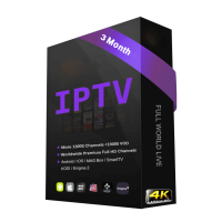 3 months iptv subscription without vod