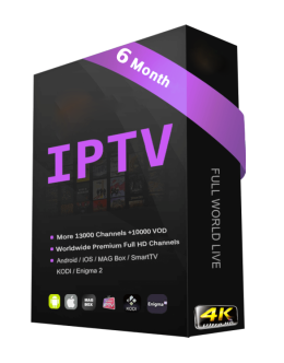 6 months iptv subscription without vod